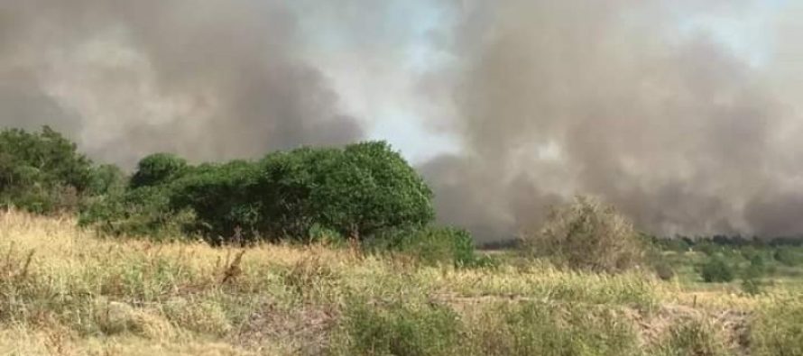 Incendio de pastizales cerca de Atucha en Zárate: «La situación está bajo control»