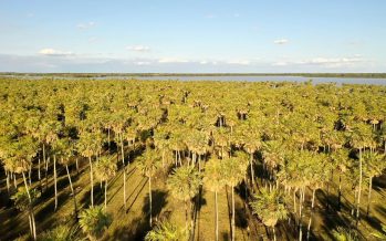 Diputados convoca a una sesión para tratar la creación de un nuevo parque nacional