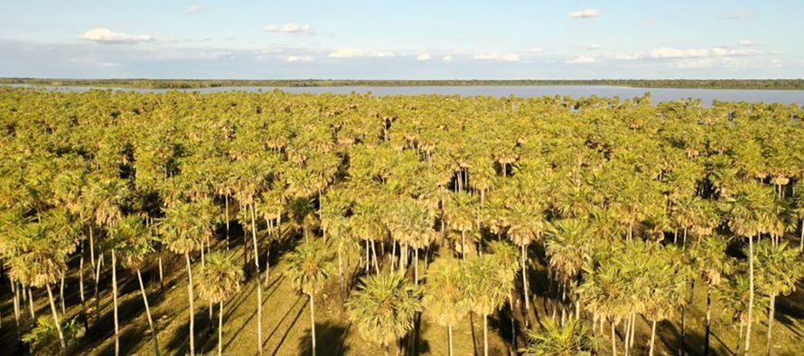 Diputados convoca a una sesión para tratar la creación de un nuevo parque nacional