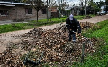 «Escobar + limpio»: campaña de recolección de residuos de poda con participación de los vecinos