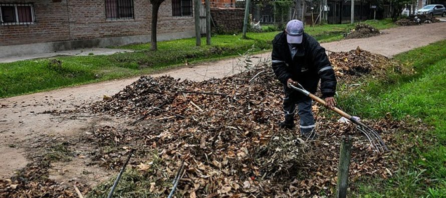 «Escobar + limpio»: campaña de recolección de residuos de poda con participación de los vecinos