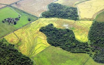 El 2% de la reserva mundial de carbono está almacenado en suelos argentinos