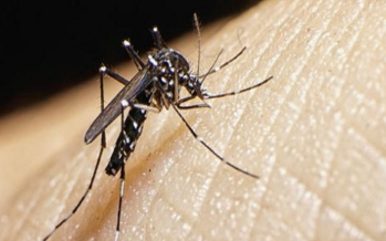 Aumentan 60,5% los casos de dengue en una semana