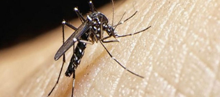 Por cuarta semana consecutiva se registró un descenso en la curva de casos de dengue en el país