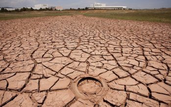 Sequía y calor extremo: ¿es el cambio climático?