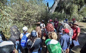 «Safari de otoño» por la Reserva Municipal de Escobar