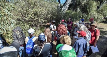 «Safari de otoño» por la Reserva Municipal de Escobar