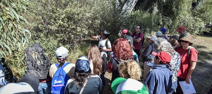 «Safari de otoño» por la Reserva Municipal de Escobar