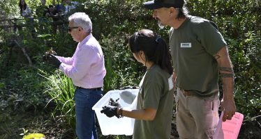 Tigre: se liberaron especies nativas en el Área Natural Protegida “Monte Blanco”