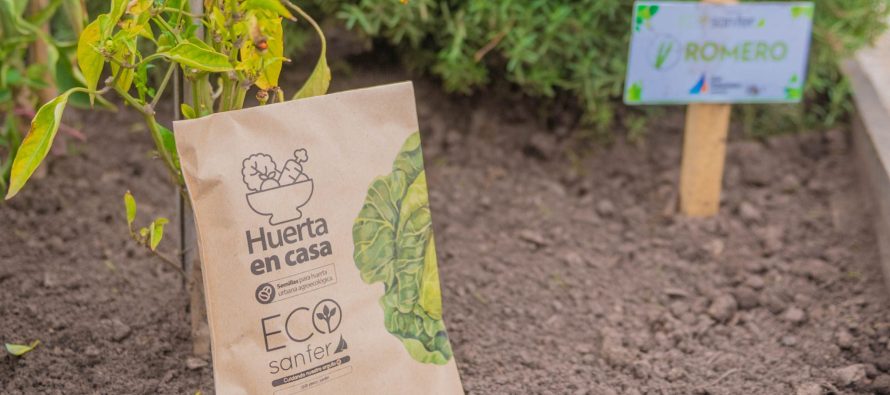 San Fernando lanzó una nueva temporada de entrega de semillas “Huerta en Casa”
