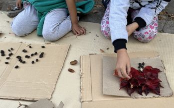 ArTeComposTado, una propuesta que busca usar al compost como herramienta de transformación