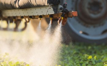 Organizaciones marcharán mañana en el centro porteño contra agrotóxicos y transgénicos
