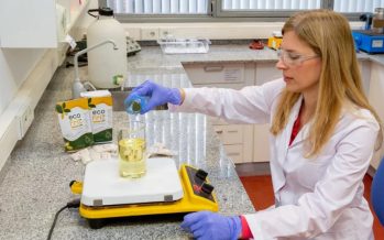 Crean un producto para solidificar el aceite usado y evitar su potencial contaminante