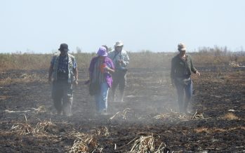 Nueva herramienta para evaluar el daño ambiental en los Parques Nacionales
