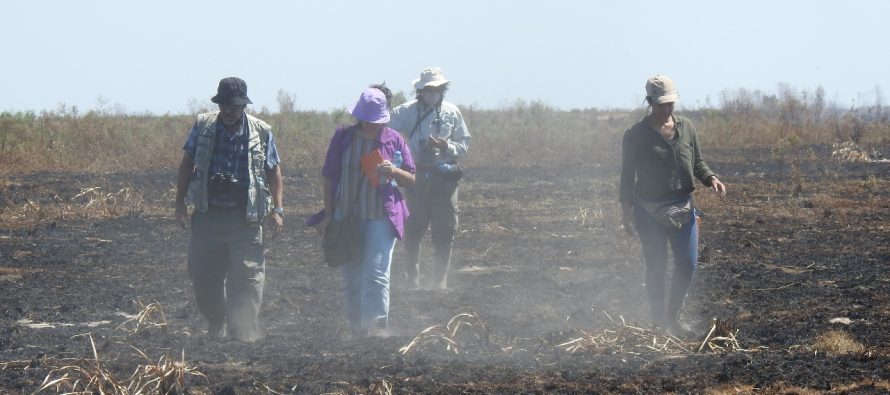 Nueva herramienta para evaluar el daño ambiental en los Parques Nacionales