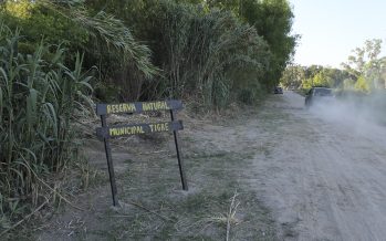 Caminata bajo la luna en la Reserva Natural Tigre