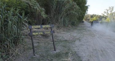 Caminata bajo la luna en la Reserva Natural Tigre