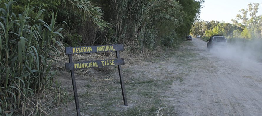 Caminata bajo la luna en la Reserva Natural Tigre