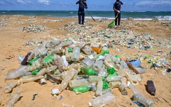 Día Mundial del Medio Ambiente, «nada que festejar»
