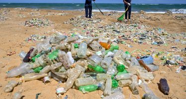 Día Mundial del Medio Ambiente, «nada que festejar»