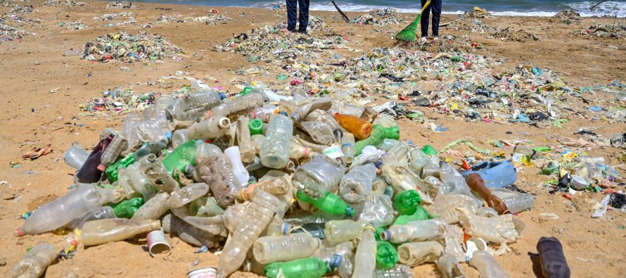 Día Mundial del Medio Ambiente, «nada que festejar»