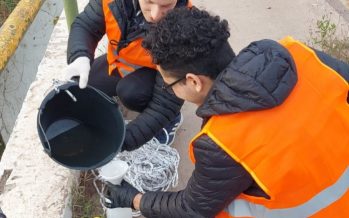Monitoreo sobre la calidad de agua en la Cuenca del Río Reconquista
