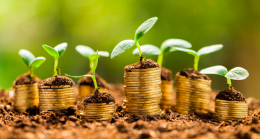Empiezan a «levantar la vara» para la emisión de bonos vinculados a la sustentabilidad