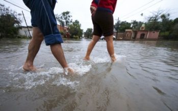 Ambiente lanza un concurso para visibilizar historias de acción climática en el país