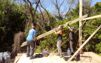 Cooperativa Comadreja: construyen viviendas de madera, still frame y barro en humedales