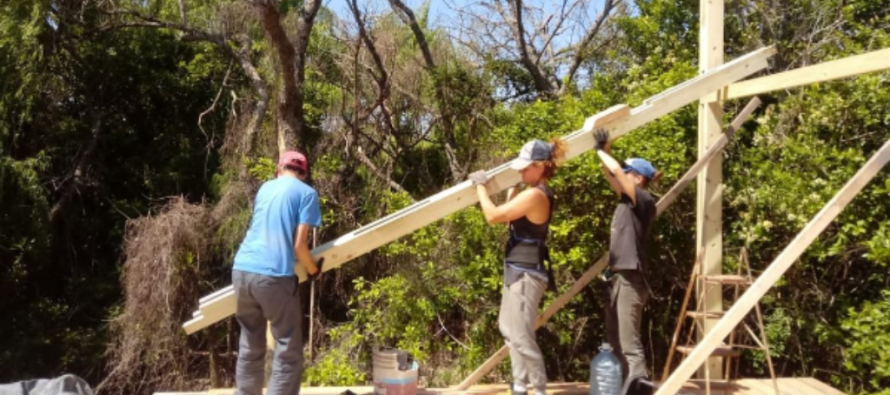Cooperativa Comadreja: construyen viviendas de madera, still frame y barro en humedales