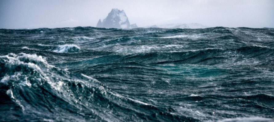 Día de los Océanos: alerta por temperaturas récord y su impacto en la biodiversidad