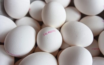 El 40% de las enfermedades trasmitidas por alimentos ocurren en los hogares