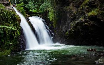 Día de los Trópicos: ¿por qué se celebra el 29 de junio?