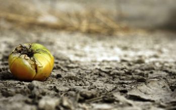 Advierten sobre un futuro «aterrador» a causa del cambio climático