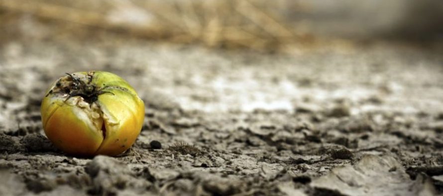 Advierten sobre un futuro «aterrador» a causa del cambio climático