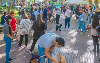 Operativos de zoonosis en San Fernando: qué barrios recorrerá esta semana