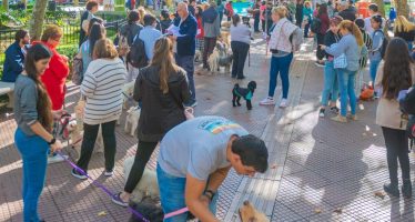 Operativos de Zoonosis para esta semana en San Fernando