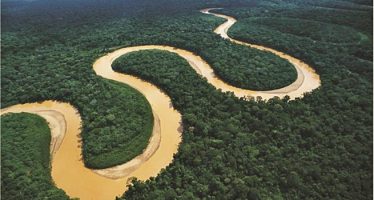 La deforestación en la Amazonía de Brasil cae 66% en julio y registra el menor valor en cuatro años