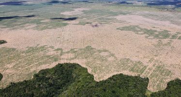 Cumbre Amazónica: buscan imponer la diplomacia del cambio climático desde el sur
