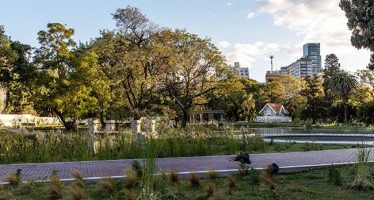 1 de noviembre: ¿Por qué se celebra el Día Mundial de la Ecología?