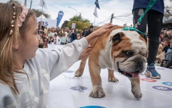 San Isidro: se acerca la «Gran Fiesta de La Horqueta»