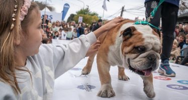 San Isidro: se acerca la «Gran Fiesta de La Horqueta»