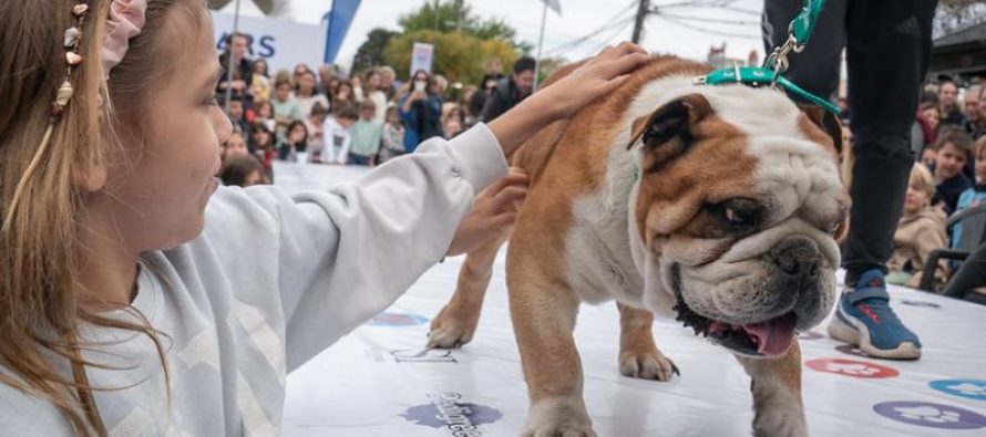 San Isidro: se acerca la «Gran Fiesta de La Horqueta»