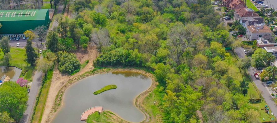 Naturaleza y río en San Fernando: un refugio gratuito para descubrir la biodiversidad del Delta este verano