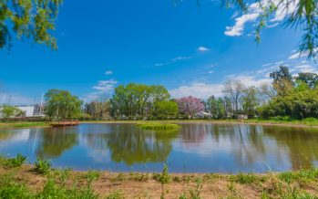Ecoparque de San Fernando: un refugio gratuito para descubrir la biodiversidad del Delta