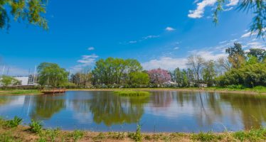 Ecoparque de San Fernando: un refugio gratuito para descubrir la biodiversidad del Delta