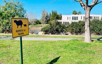 La dramática situación de los carpinchos en Nordelta