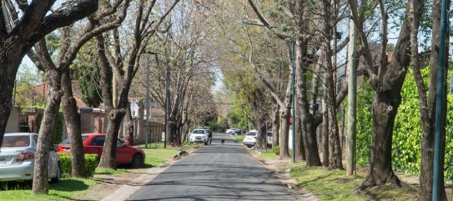 Continua el Programa de Mejoras y Mantenimiento de la red vial de San Isidro