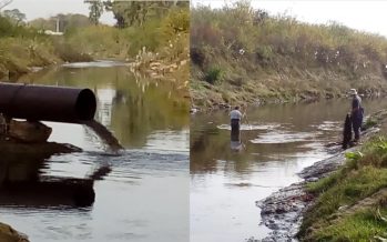 Encontraron gran cantidad y concentración de fármacos en los ríos Luján y Reconquista