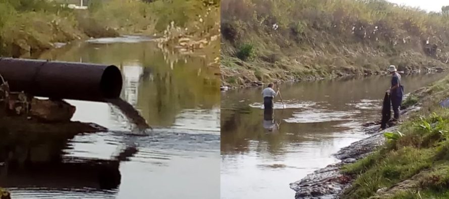 Encontraron gran cantidad y concentración de fármacos en los ríos Luján y Reconquista